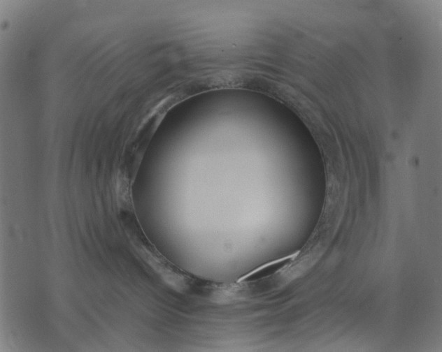 X0000070390096200606231748