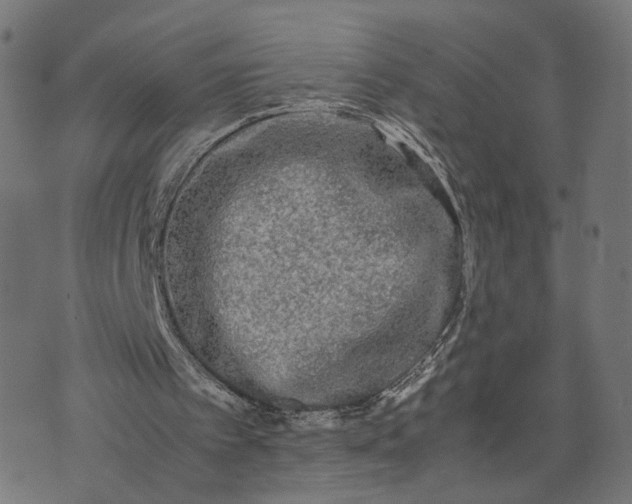 X0000070390097200606231747