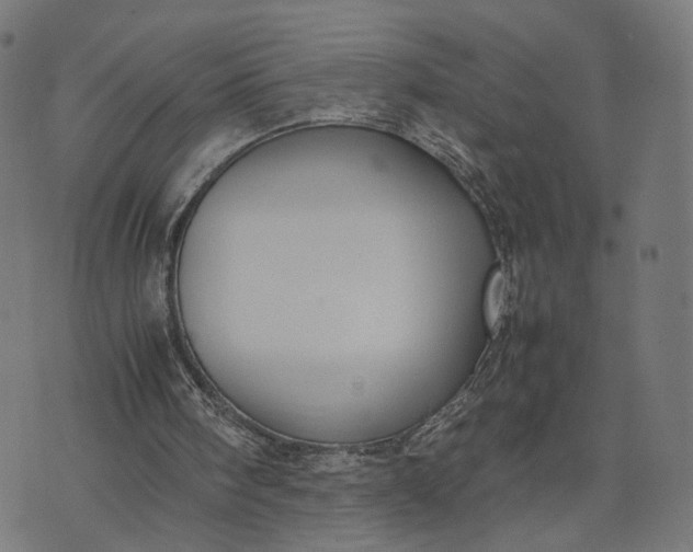 X0000070390098200606231747