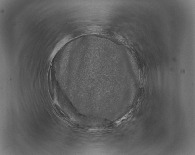 X0000070390099200606231747