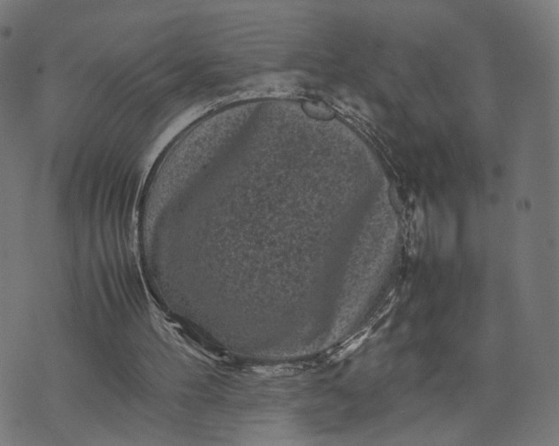 X0000070390100200606231747