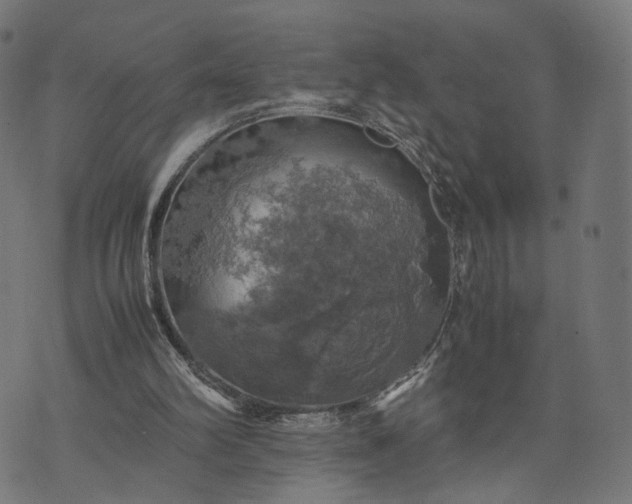 X0000070390102200606231747