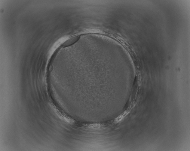 X0000070390104200606231747