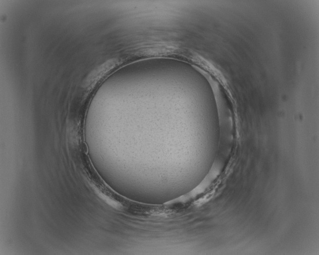 X0000070390105200606231747