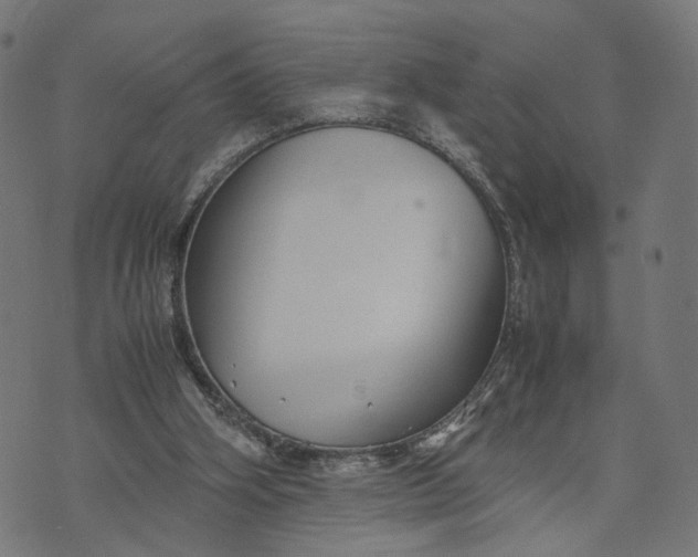 X0000070390106200606231747