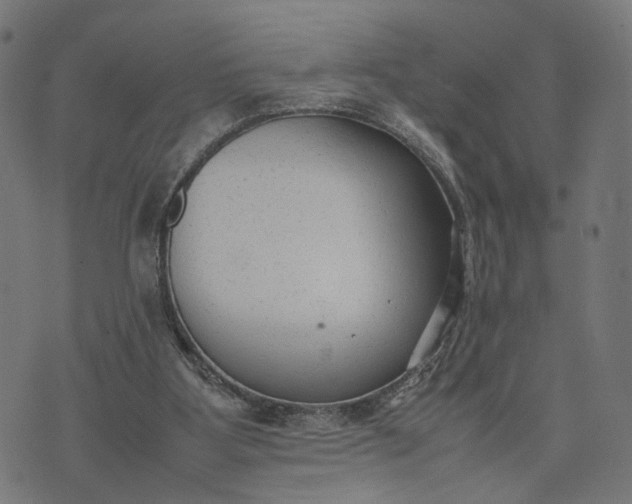 X0000070390107200606231747