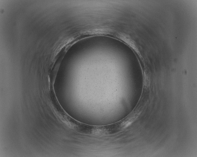 X0000070390109200606231747