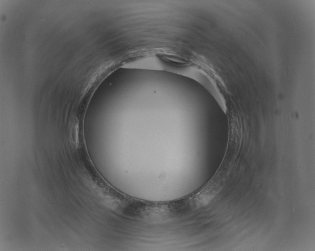 X0000070390110200606231747