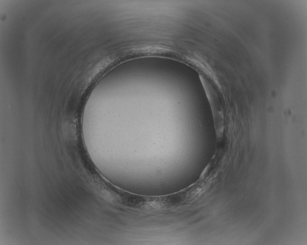 X0000070390111200606231747