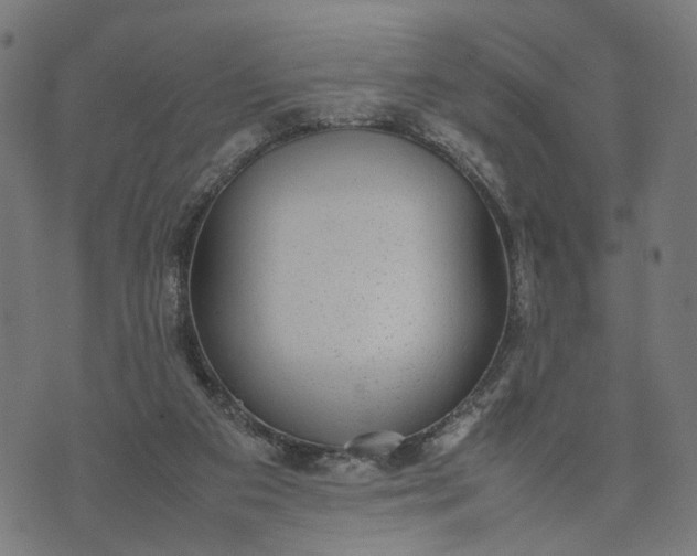 X0000070390113200606231747