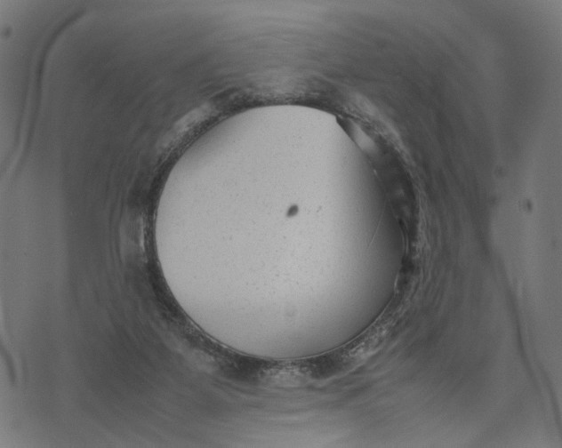 X0000070390115200606231747