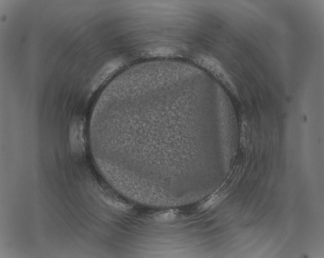 X0000070390116200606231747