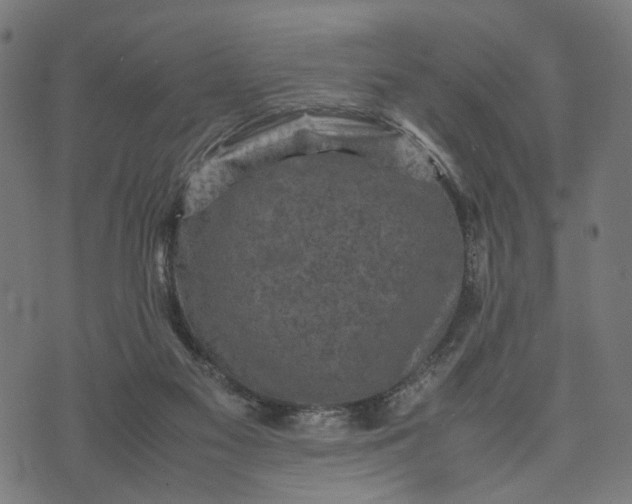 X0000070390117200606231747