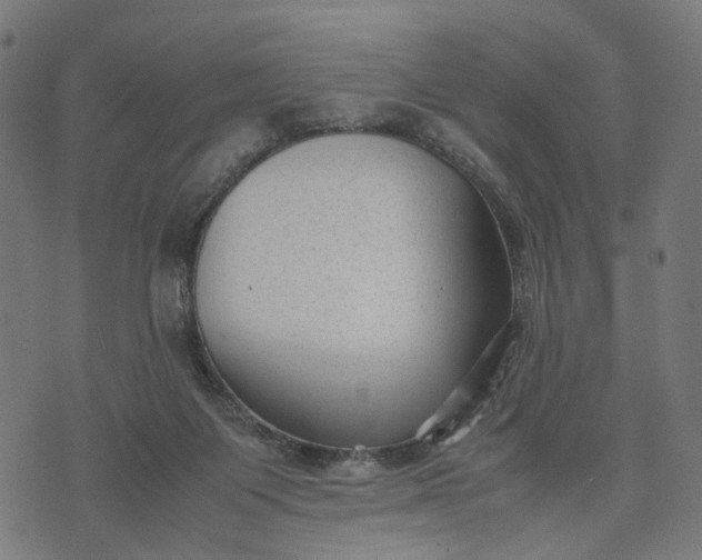 X0000070390119200606231747