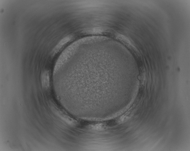 X0000070390120200606231747