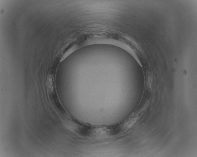 X0000070390121200606231747