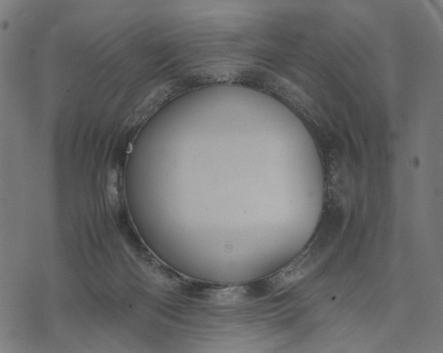 X0000070390122200606231747