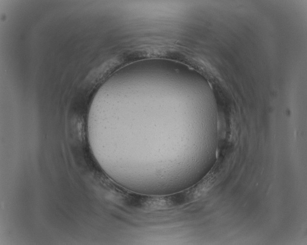 X0000070390123200606231747