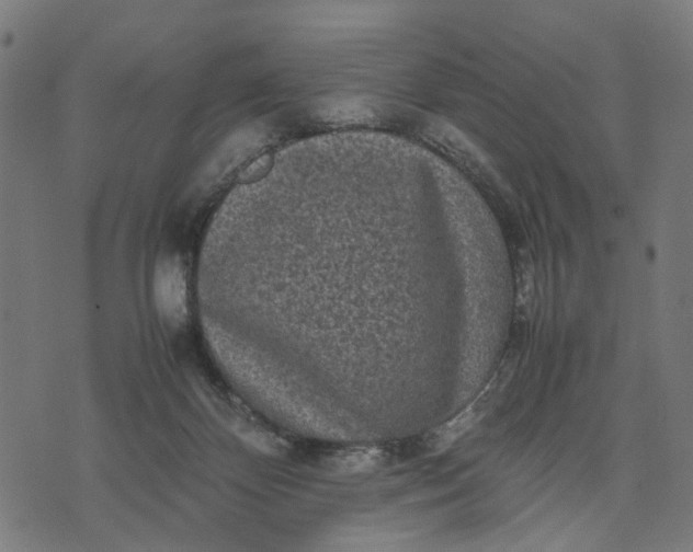 X0000070390124200606231747