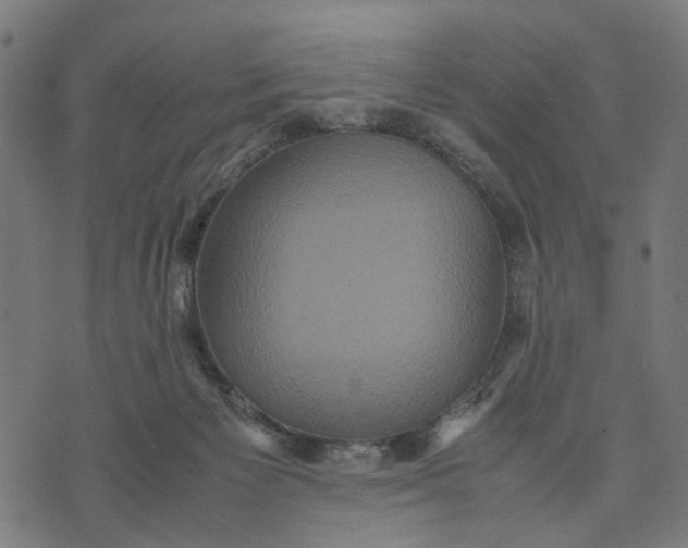 X0000070390125200606231747