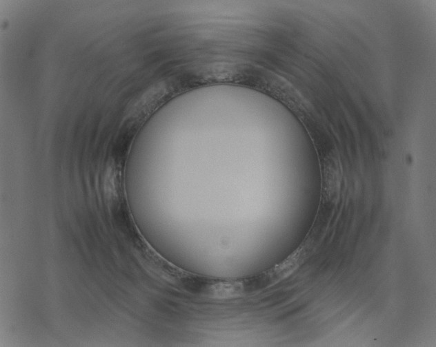 X0000070390126200606231747