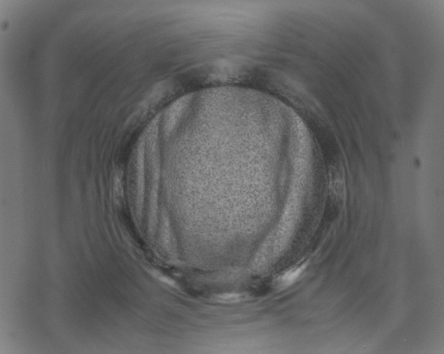 X0000070390127200606231747