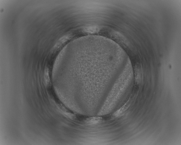 X0000070390128200606231747