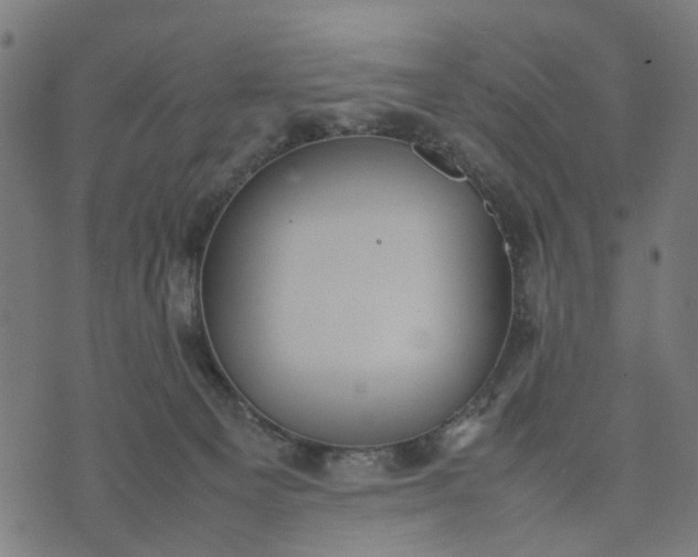 X0000070390129200606231747