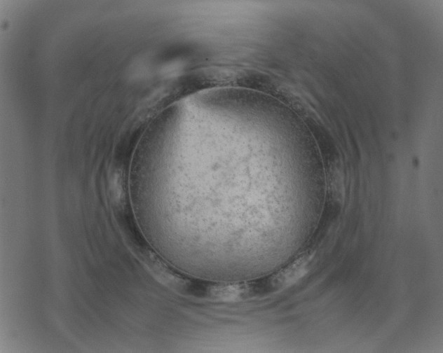 X0000070390131200606231747