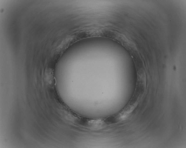 X0000070390133200606231747