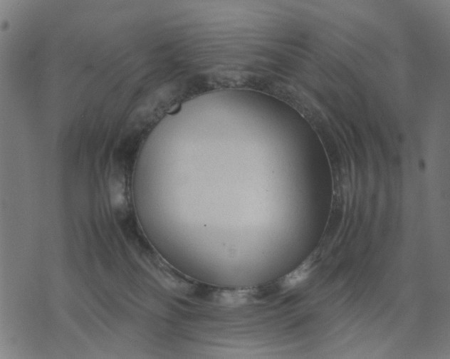 X0000070390134200606231747