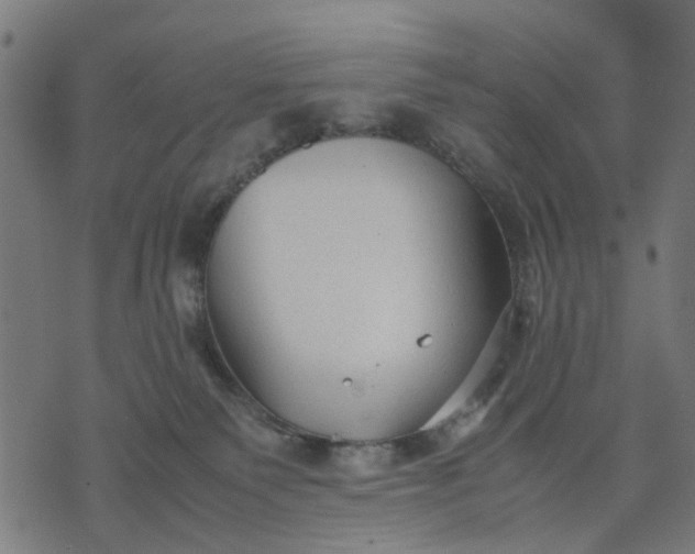 X0000070390135200606231747