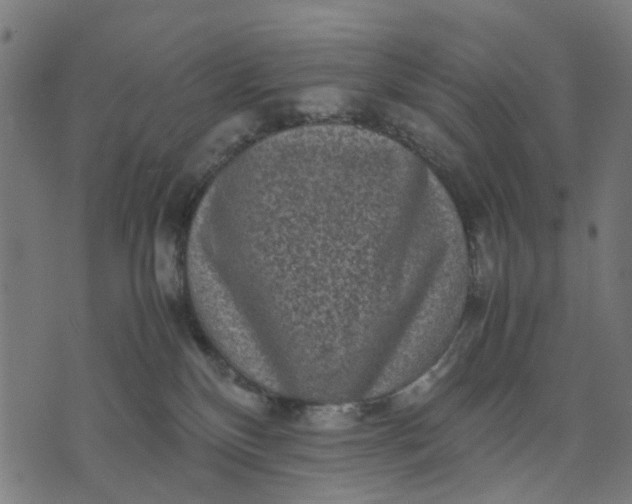 X0000070390136200606231747