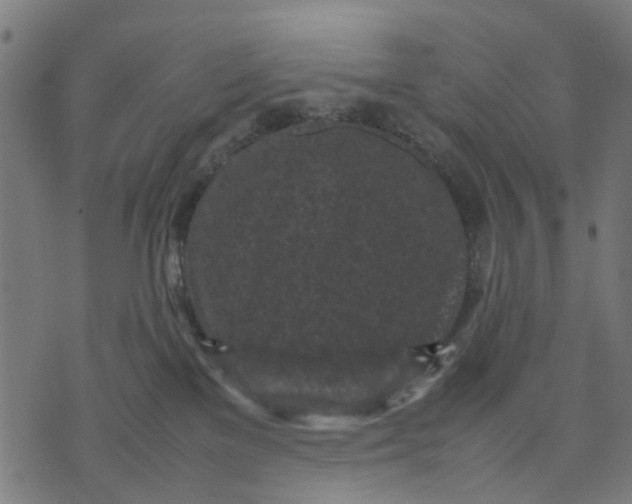 X0000070390137200606231747