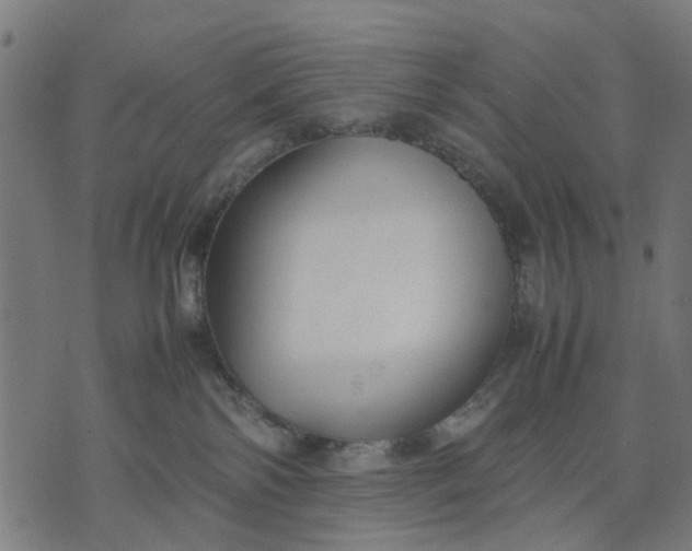 X0000070390138200606231747