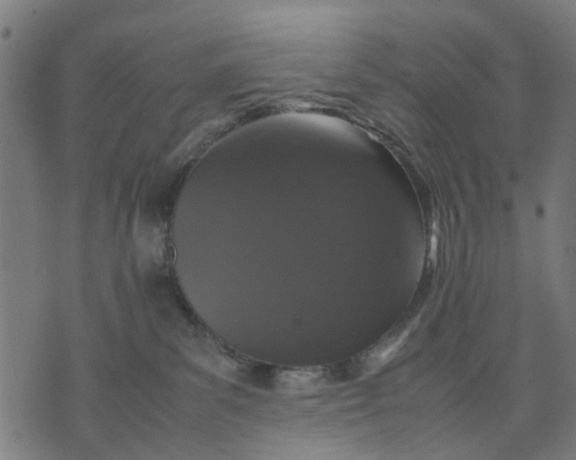 X0000070390139200606231747