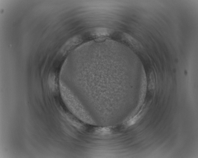 X0000070390140200606231747