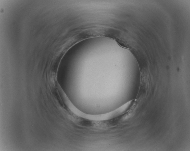 X0000070390141200606231747