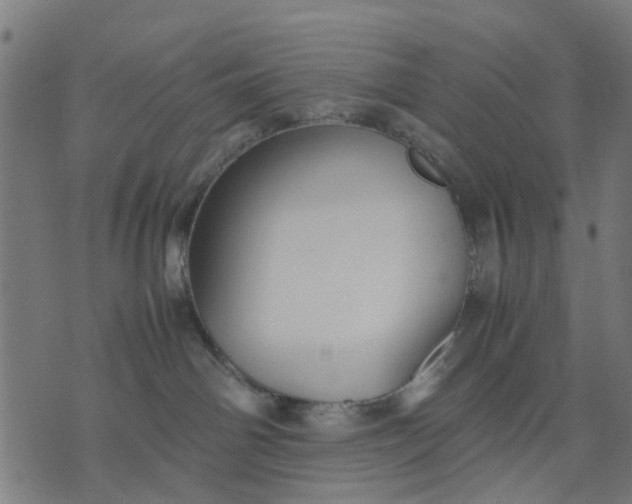 X0000070390142200606231747