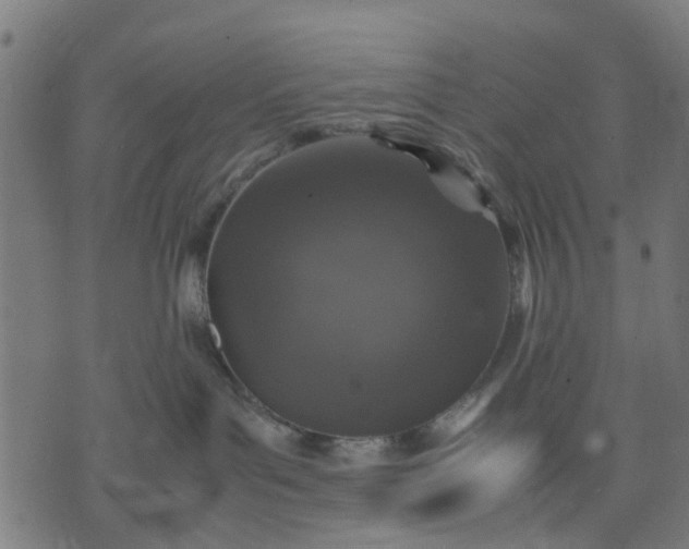 X0000070390143200606231747