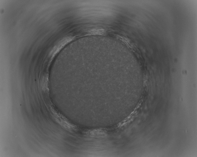 X0000070390146200606231746