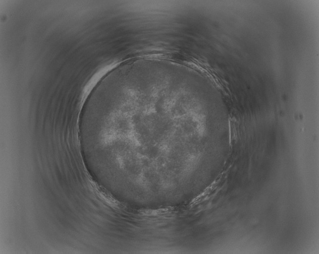 X0000070390147200606231746