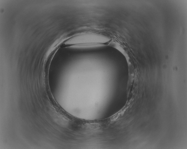 X0000070390150200606231746