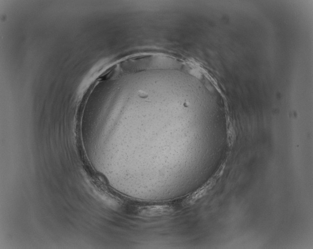 X0000070390151200606231746