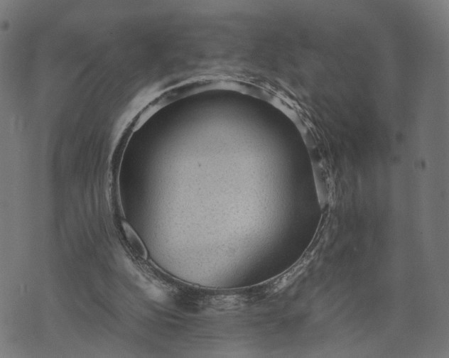 X0000070390152200606231746