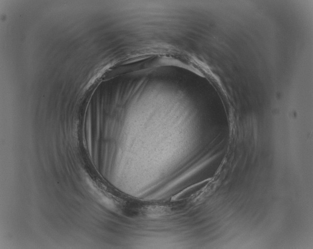 X0000070390154200606231746