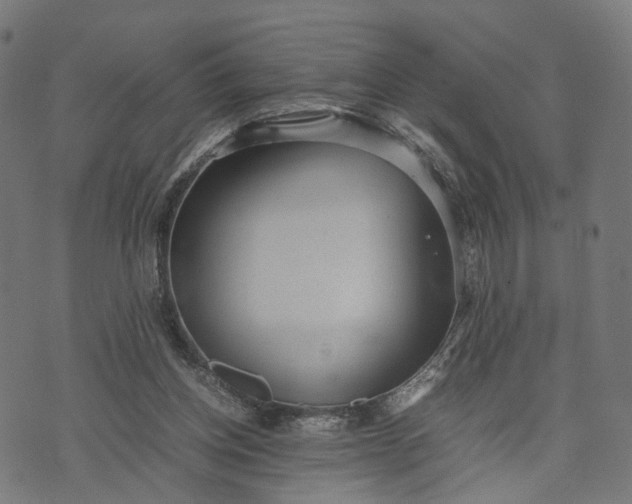 X0000070390158200606231746