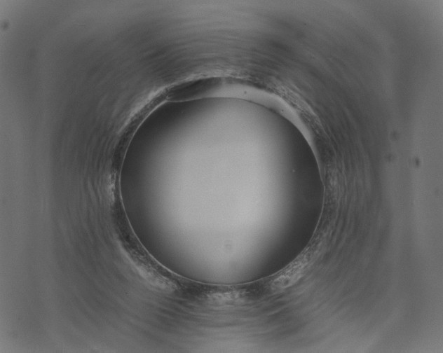 X0000070390160200606231746