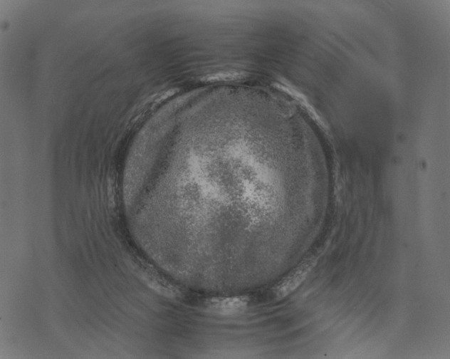 X0000070390161200606231746