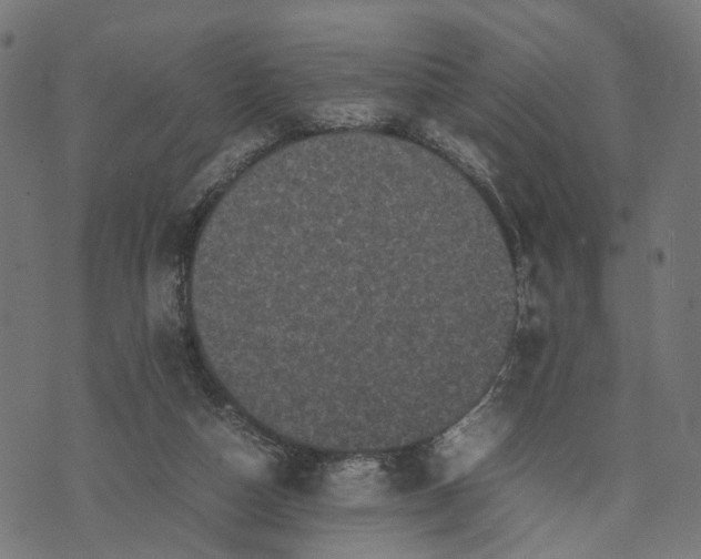 X0000070390162200606231746